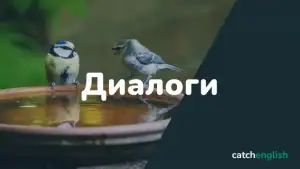 Диалоги на английском языке